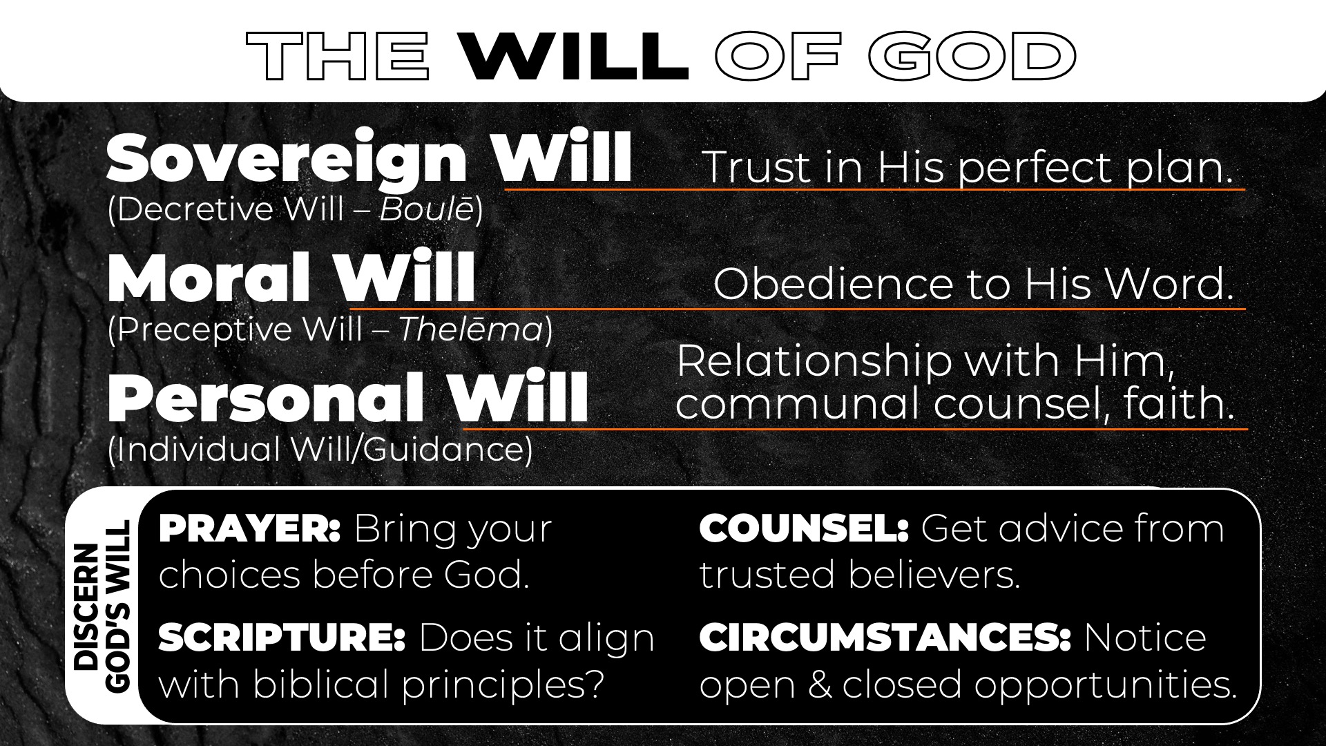 Will of God.jpg